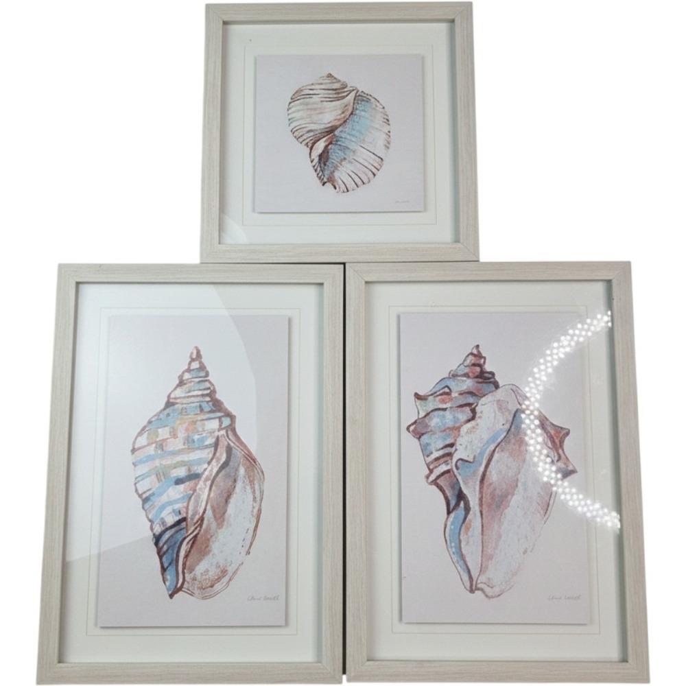 Lanie Loreth Seashell Framed Art Set 3 Coastal Nautical Watercolor Wall Decor‎